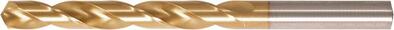 Spirálový vrták DIN338 HSS TiN typ RN 6,9mm FORMAT