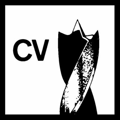 Štandardné špirálové vrtáky do dreva 16 x 100 x 160 mm, d 10 mm