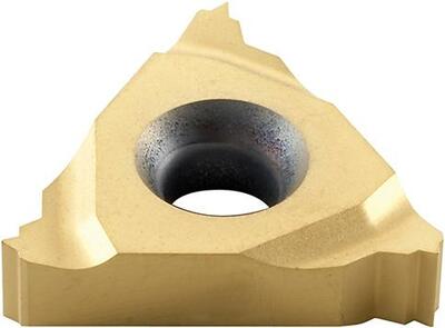 Výměnná břitová destička na soustružení závitů I 60° masivní profil TN16 NL 100 M M25